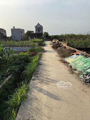 siêu phẩm đất thổ cư để ở, đầu tư, quang tiến sóc sơn dt 100 m2 giá chỉ 28 triệu/m2