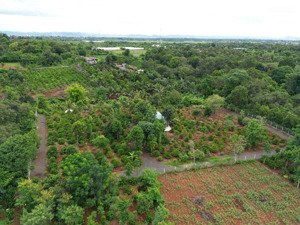 cần bán 7.2 sào đất khánh xuân (thực tế 1ha)