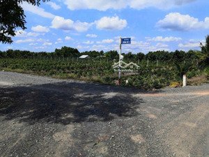 bán đất vườn mặt tiền kênh 4 xã bình lợi, bình chánh. hạ tầng rất đẹp. sổ đỏ pháp lý đầy đỷ