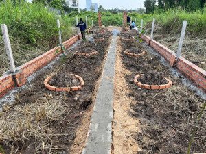 chủ gửi lô đất bình mỹ. củ chi. hcm 109m2 giá chỉ 2,3 tỷ ( thương lượng chính chủ)