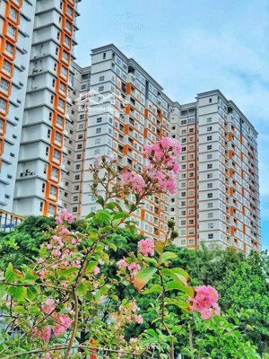 3,35 tỷ - dragon hill 2- 51,5m2 2pn 1wc, full nội thất mới, shr. view: đông nam (mát)