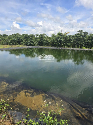 chính chủ cần bán đất có sẵn nhà tại bảo lộc bảo lâm