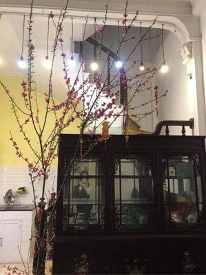 nhà hiếm, kim ngưu - lạc trung, khu phân lô, oto đỗ cửa