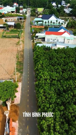 bán gấp lô đất trung tâm xã minh thắng, chơn thành, bình phước, liên hệ 