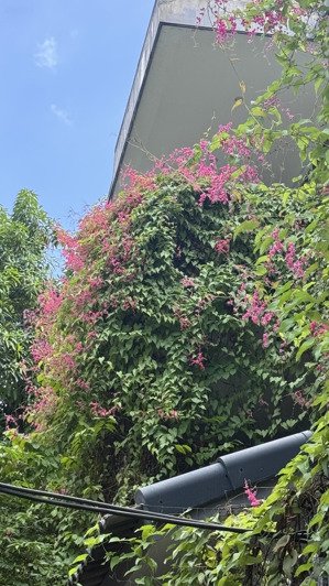 thái hà phân lô, ngõ thông, hiếm bán trung tâm đống đa, phù hợp ở/cho thuê/xây tòa 7 tầng