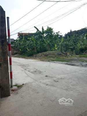 sổ đỏ chính chủ mai trai, sơn tây, sơn tây, hà nội. diện tích 175,6 m2 full đất ở tại đô thị