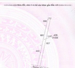 bán đất làm kho, nhà xưởng tại đt 831, tuyên bình, vĩnh hưng, long an, 52 tỷ, 31484 m2, giá tốt