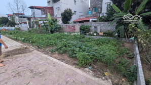 bán lô đấu giá ao hào thành hưng yên, mặt tiền 17m