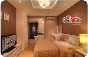 chính chủ cho thuê ch 2pn 3pn 4pn thăng long number one giá từ 15 tr/tháng lh: 0972;;69;9780