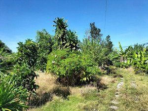 bán 04 lô đất thuộc phường tây nha trang. khu dân cư hiện hữu, cơ sở hạ tầng hoàn thiện