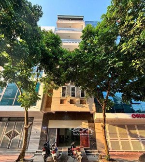 dtsd 440m2 -nhà có thang máy hẻm xe hơi út tịch tân bình giá 40 triệu