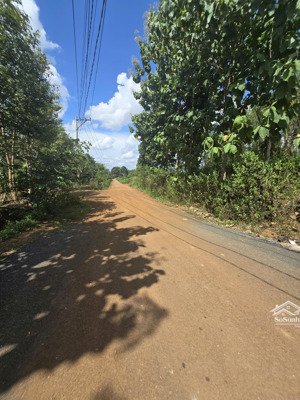 bán đất lộc ninh bình phước 10ha - đất trồng cây lâu năm, mặt tiền lớn hơn 130m, giá chỉ 1 tỷ