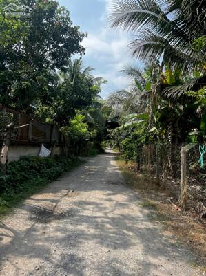 Đất ngang 15m mặt tiền An Sơn 39, gần đường Vành Đai 3, xe ô tô tải đi thoải mái