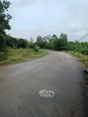 chính chủ bán đất mặt đường tỉnh lô 438b mặt tiền780m2 có 400 thổ cư mặt tiền 15.5 m nở hậu .