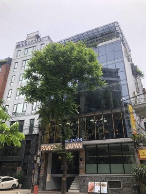 cầu giấy - mặt phố buiding 10 tầng + hầm. dt 120m2, mt 8m. vỉa hè 10m