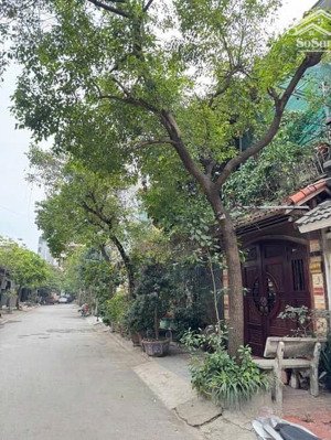 bán biệt thự view đẹp tại an lạc phùng khoang, 42 tỷ, 150m2