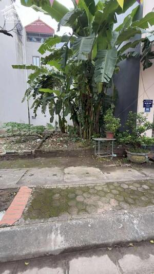 RẺ HƠN THỊ TRƯỜNG HƠN TỶ - CÓ SỔ ĐỎ ĐẤT PHÂN LÔ - BIÊN GIANG 63.5M - MẶT 5M 3.85 TỶ