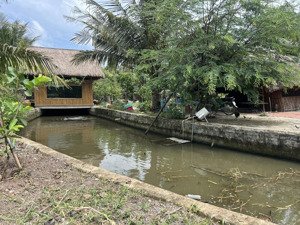 bán đất mặt tiền kênh lớn tại xã bình mỹ, củ chi, 1192m2, giá 7.15 tỷ