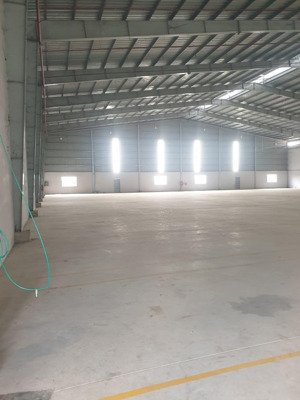 cho thuê xưởng tại kcn thành phố mới bình dương. dt đất: 10000m, dt xưởng: 5000m. giá thuê: 4.7$\m