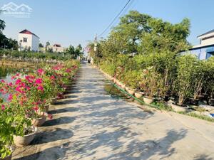 Chỉ nhỉnh 1 tỷ đồng sở hữu lô góc 2 mặt thoáng ngay tuyến 2 đường Kiều Trung