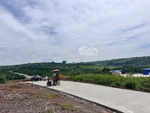 630 triệu, 1000 m2 đất gần cầu khỉ tân hội, 100m2 thổ cư