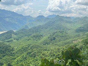 120 ha rsx, 6000 ont, 5,4 ha cln, đồng chum, đà bắc, giá đầu tư