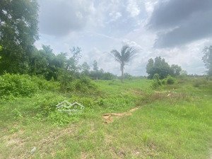 bán đất 1.500m2, chỉ 9 triệu/m2 phường long phước, quận 9