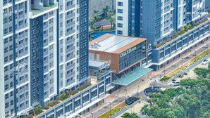 toàn bộ giỏ hàng shophouse celesta rise mua bán và cho thuê