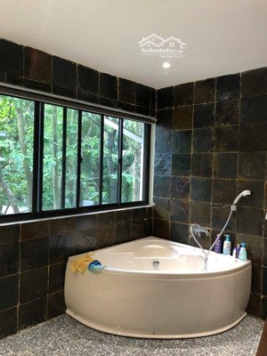 bán biệt thự đơn lập vườn mai ecopark 369m2, hoàn thiện đẹp, sổ đỏ, giá cực rẻ