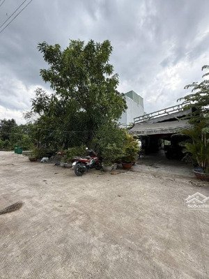 kdc phước kiển xe tải vi vu - 480m2 ngang to 12m - tương lai đ. 20m - 13.5tỷ - đầu tư sinh lời cao