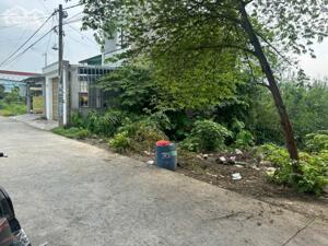 Đất thổ cư 5×22 đường An Hạ (cách vòng xoay Tỉnh Lộ 10-Trần Văn Giàu 6km) 2tỷ3