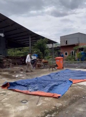 kho đẹp cần cho thuê gấp ở huỳnh tấn phát diện tích 800m2 có pccc