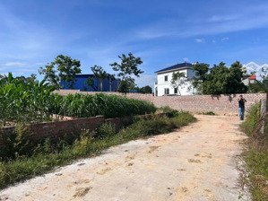 sốt đất sóc sơn lô góc 115m² full thổ cư, gần khu du lịch diều giá tốt kh