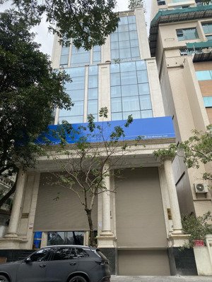 cho thuê tòa nhà mp liễu giai, 300m2 diện tích, 7 tầng, 10m mặt tiền, 1 hầm, thông sàn, pccc