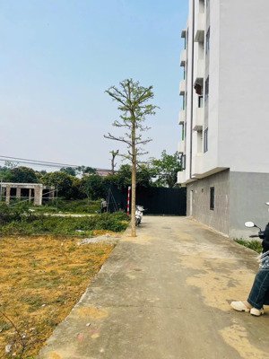 cần bán nhanh lô đất sau siêu thị đức thành ạ,một siêu phẩm anh chị không thể bỏ qua