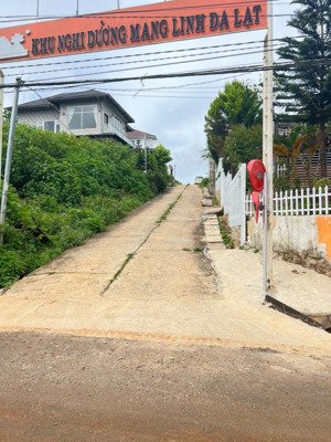 bán đất view rừng thông trên đỉnh đồi vị trí cực hiếm 246m2 full thổ 5,7 tỷ thương lượng