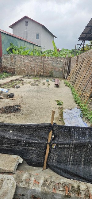 bán 136m2 đất hà phong, liên hà - giá cực tốt - sát hồ điều hoà, nhà văn hoá thôn