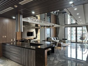 chính chủ cần bán gấp căn 5n3vs 186m tại dolphin plaza full nội thất, giá 13,4 tỉ có thương lượng