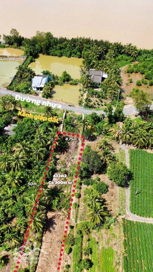 đất thổ cư 300m² mặt tiền lộ 83 view kênh thoáng, giá chỉ 390tr tại tân phú đông