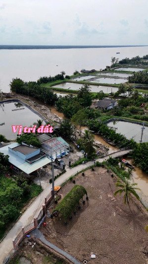 nhà ven sông và trọn bộ đất mặt tiền sông tân phú đông tiền giang 4.200m² giá chỉ 273tr/công