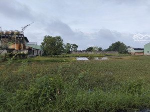 hàng xây kho xưởng 2770m2 đất tmdv giá rẻ