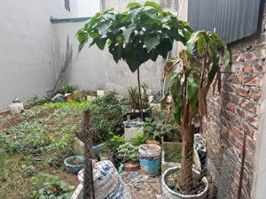 bán mảnh đất đẹp của thôn du nội -mai lâm - đông anh - hn.