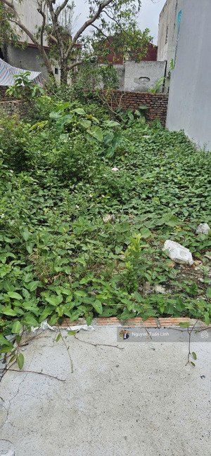 bán 52m2 đất bến trung, bắc hồng vuông vắn - gần chợ, khu đấu giá bắc hồng