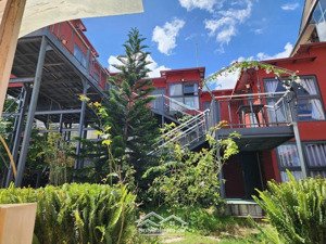 cần cho thuê kinh doanh - nhà view siêu đẹp - 1000m2 phường 6 ,đà lạt, lâm đồng