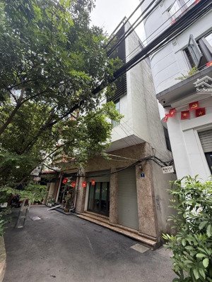 bán nhà phương mai view vườn hoa sát hồ an sinh đỉnh