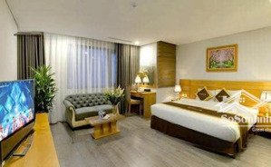 bán tòa khách sạn mặt phố võng thị, 300m2, 64 phòng vip khai thác, tiềm năng cực tốt