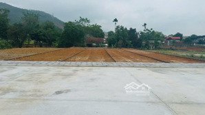 cơ hội đầu tư sinh lời tại phú thọ vị trí vàng ngay mặt đường hồ chí minh