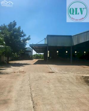 CHO THUÊ NHÀ XƯỞNG – XÃ TÂN AN, HUYỆN VĨNH CỬU, ĐỒNG NAI – 33.000m²