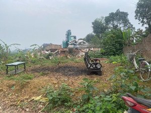 lô đất hiếm tại bắc sơn sóc sơn, vị trí đắc địa, thích hợp làm nhà vườn homestay