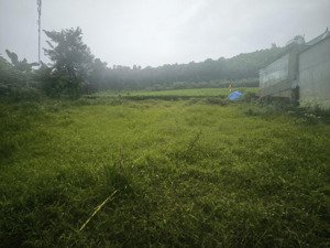 cần bán lô đất rẻ nhất tại thôn mít mái _ yên bài